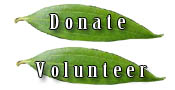 Donate/Volunteer