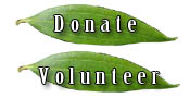 Donate/Volunteer
