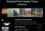 Woodland Park Healthy Forest Initiative