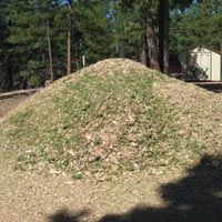 Mulch Pile