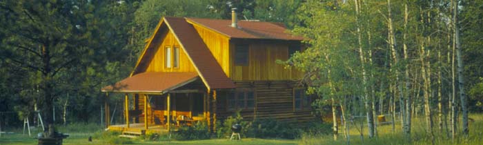 Home in the Forest