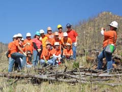 Volunteer